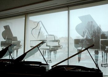 printed suncreen shades